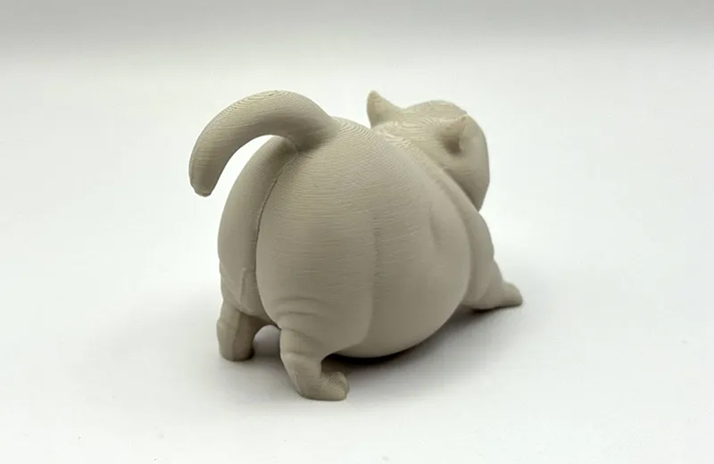 懒腰的猫