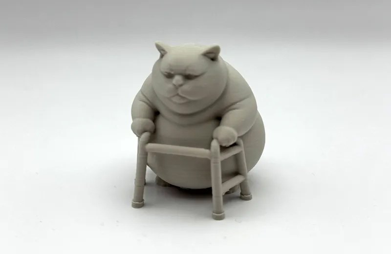 肥猫